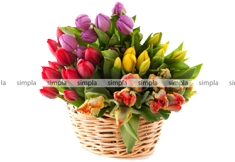 Тюльпаны В Корзине Png (458x458)