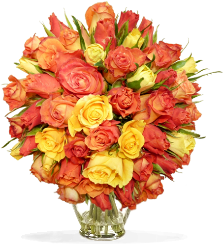 Bouquet De Roses - Garden Roses (800x800)