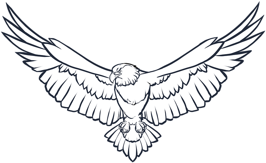 Eagle Art Story - Eagle Black And White (960x602)