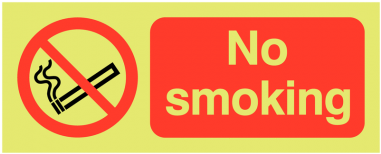 Nite-glo Photoluminescent No Smoking Signs - No Smoking In Vehicle With Children Window Signs (380x380)