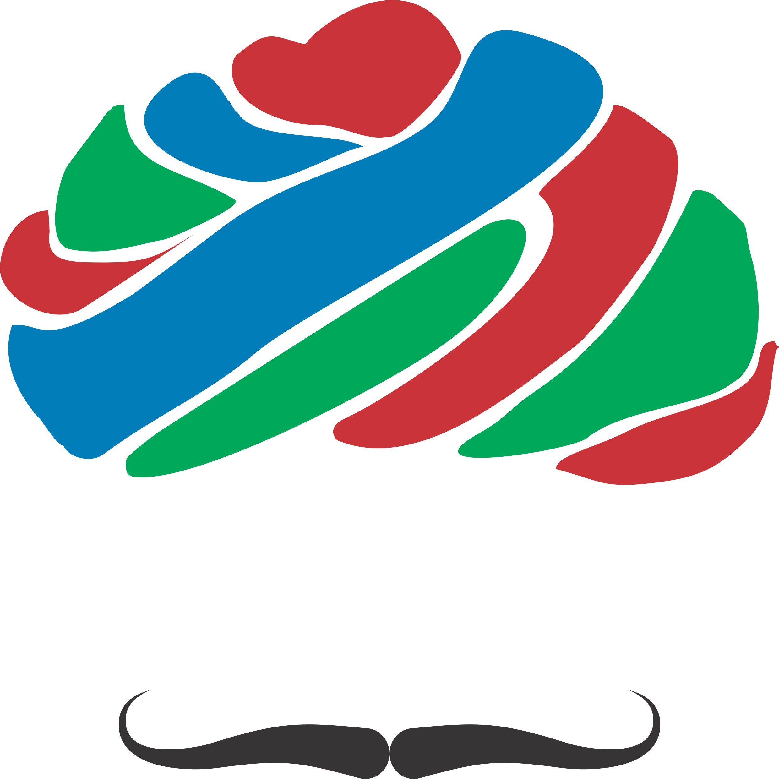 Moustache And Pagdi Are Pride Of Indian Men - Rajwadi Logo (2480x2480)