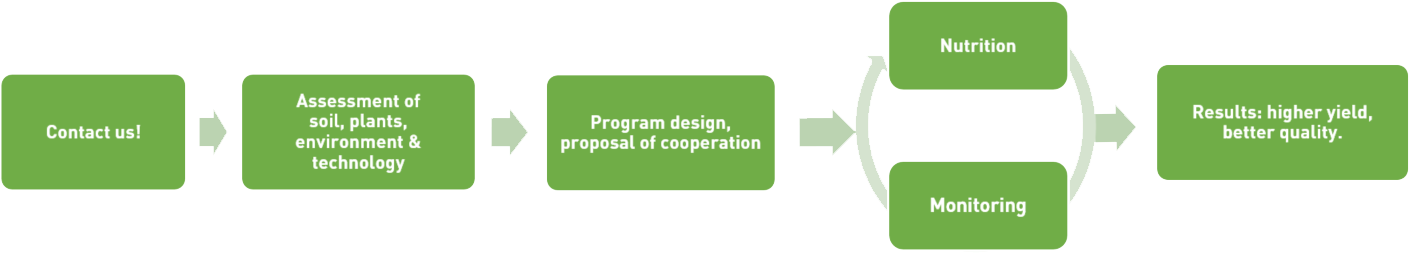 The Process Of Fitopedon® Service - Parallel (1437x351)