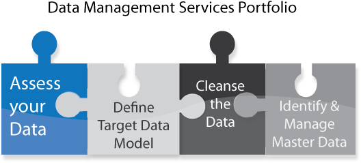 Data Management Services - Sign (536x247)