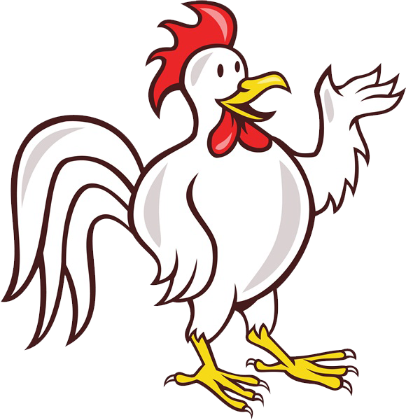 Chicken Rooster Cartoon Illustration - Cartoon Cockerel (580x600)