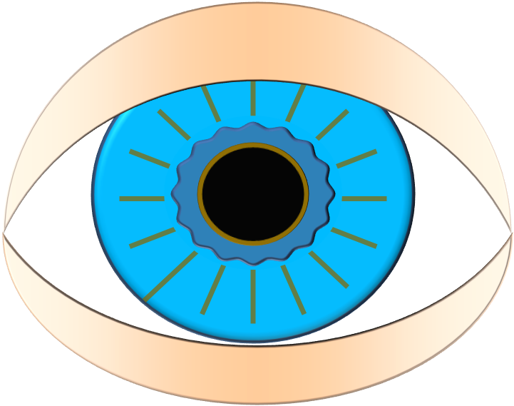 06 Am 153856 Dr Tarek Mamoun 3d Rertinal Detachment2 - Infancia Y Adolescencia Misionera Mexico (721x569)