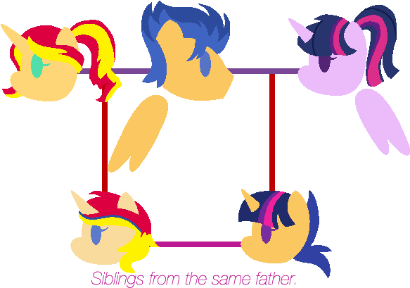 Pony Twilight/sunset X Flash Next Gen - Digital Art (610x433)