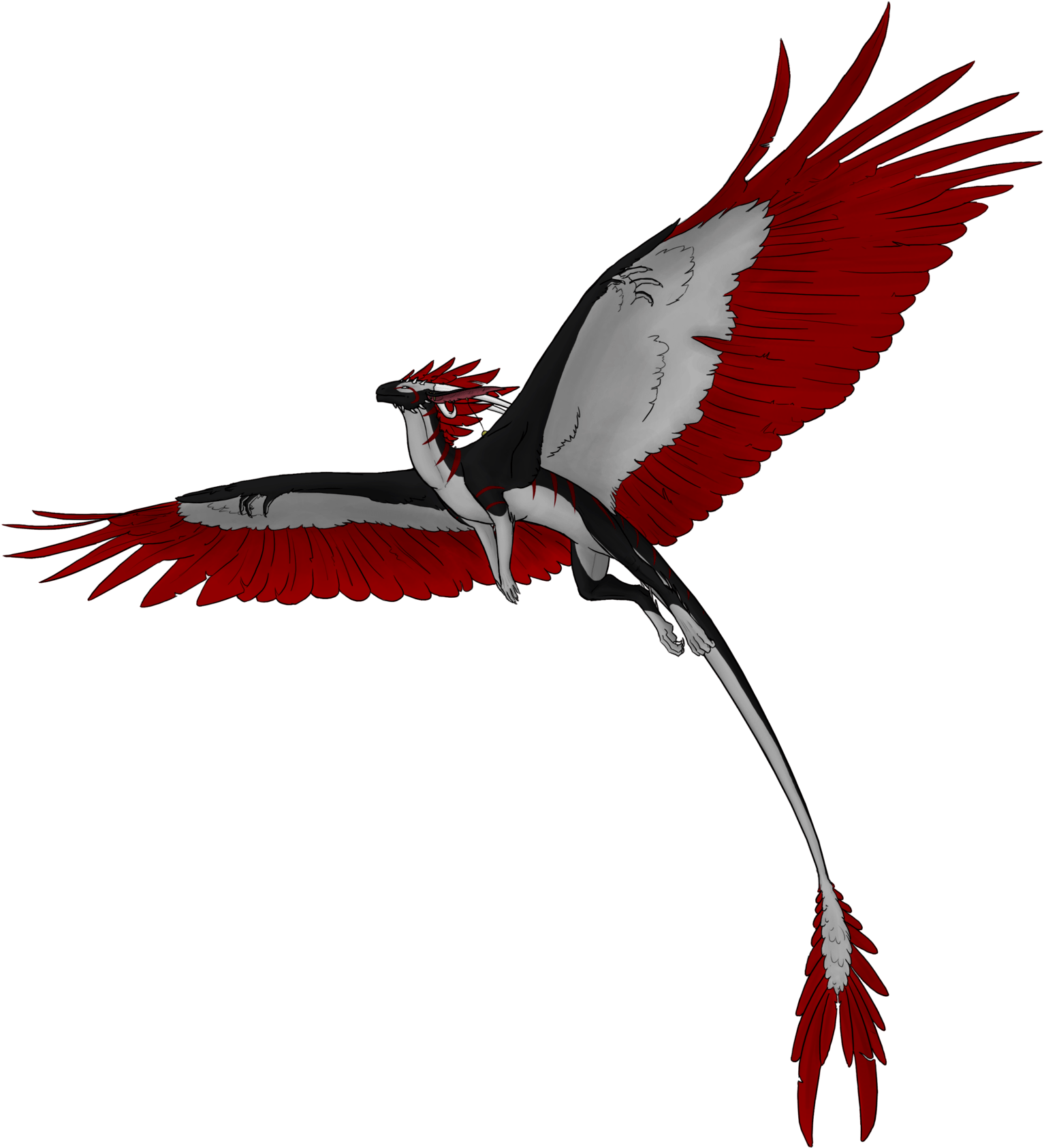 Flying Bird Png Mart - Dragon Flying Png (1600x1741)