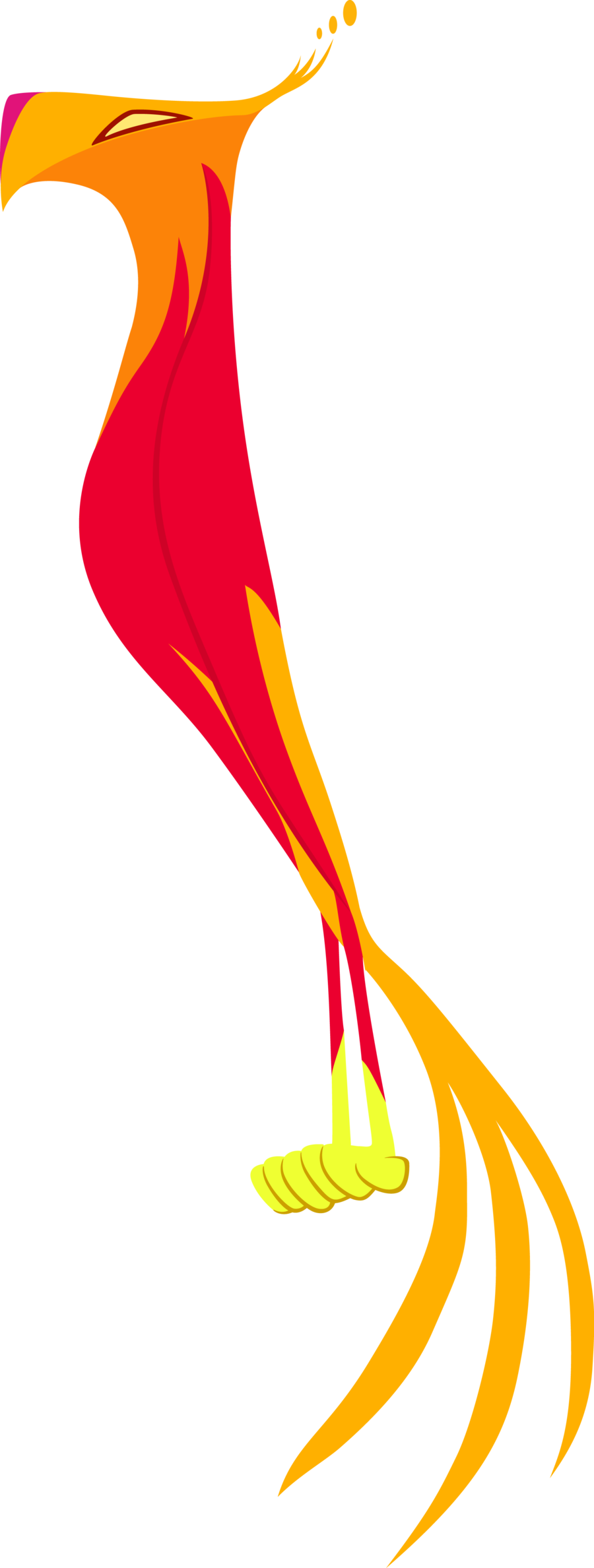 Philomena By Oelderoth Philomena By Oelderoth - My Little Pony Phoenix (900x2377)