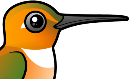 About The Rufous Hummingbird - Rufous Hummingbird (440x440)