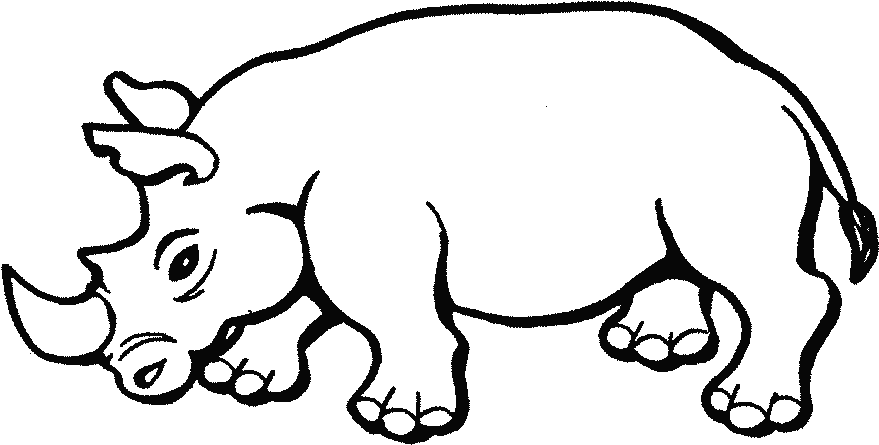 Animales Salvajes Para Colorear - Rhino Coloring Pages (905x545)