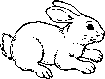 Más Para Colorear - Rabbit Coloring Pages (451x341)