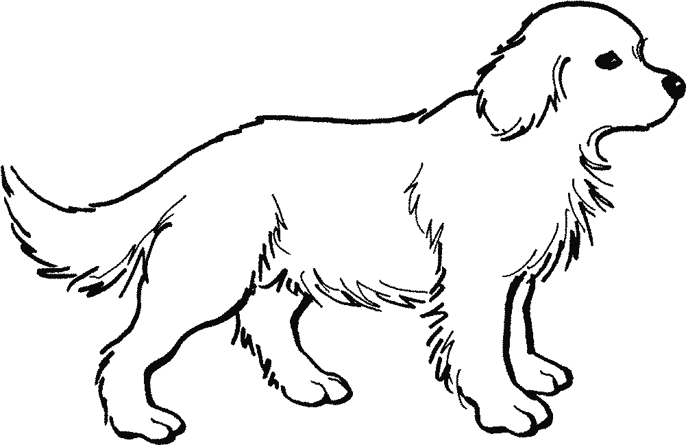 Fantástico Dibujos Para Colorear Animales Gratis Adorno - Coloring Pages Golden Retriever (1024x768)