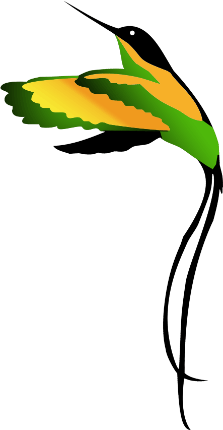 Most Popular Categories - Jamaica Bird (461x864)