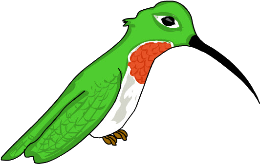 Colibrí - Hummingbird (606x393)