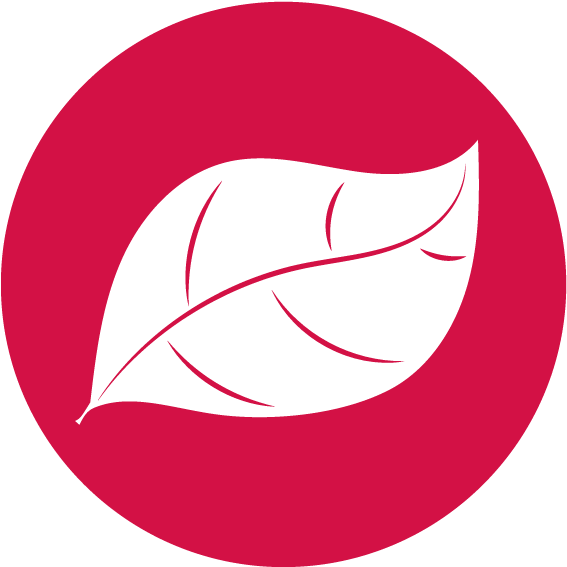 Growing Our Academic Reputation - Circle (600x600)