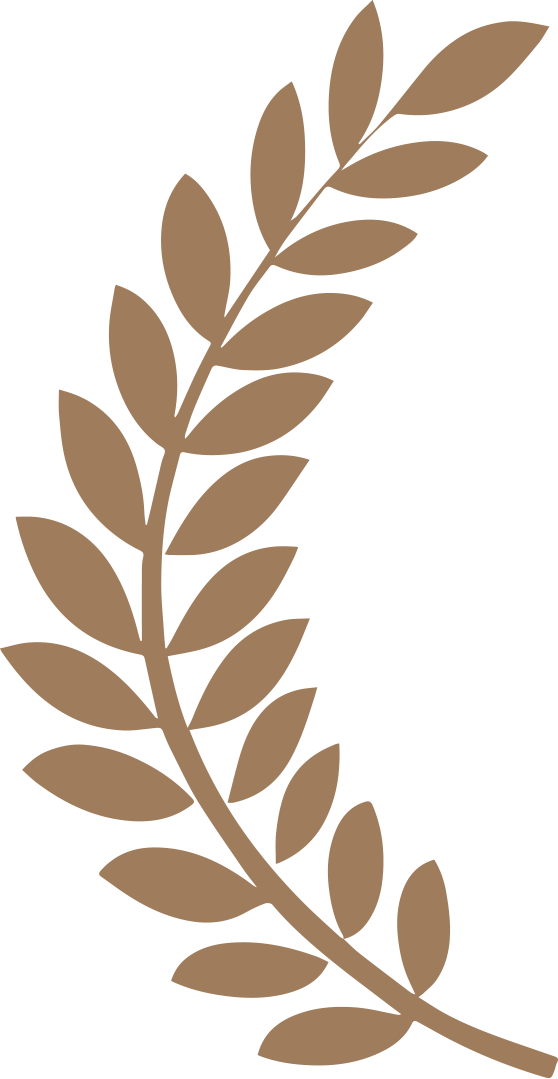 2015 Accolade Global Film Competition - Orlando Film Festival Laurel (558x1079)