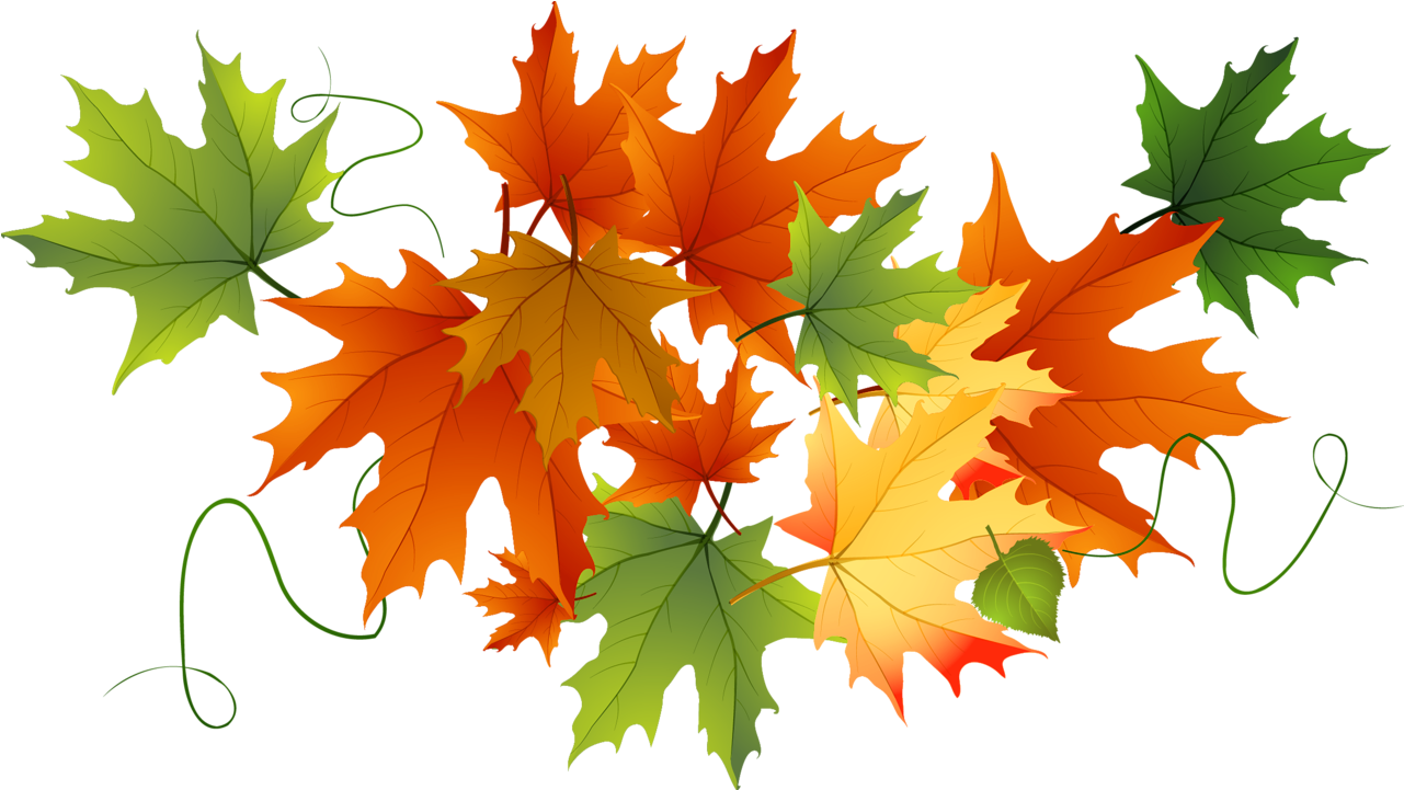 Autumn Transparent Leaves Gallery Yopriceville - Fall Leaves Clear Background (1319x774)