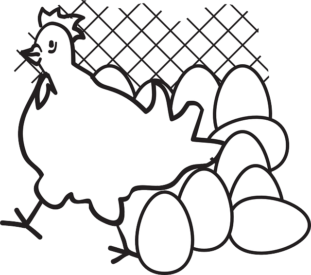 Chicken Eggs Clipart - Black And White Chickens With Eggs (640x565)