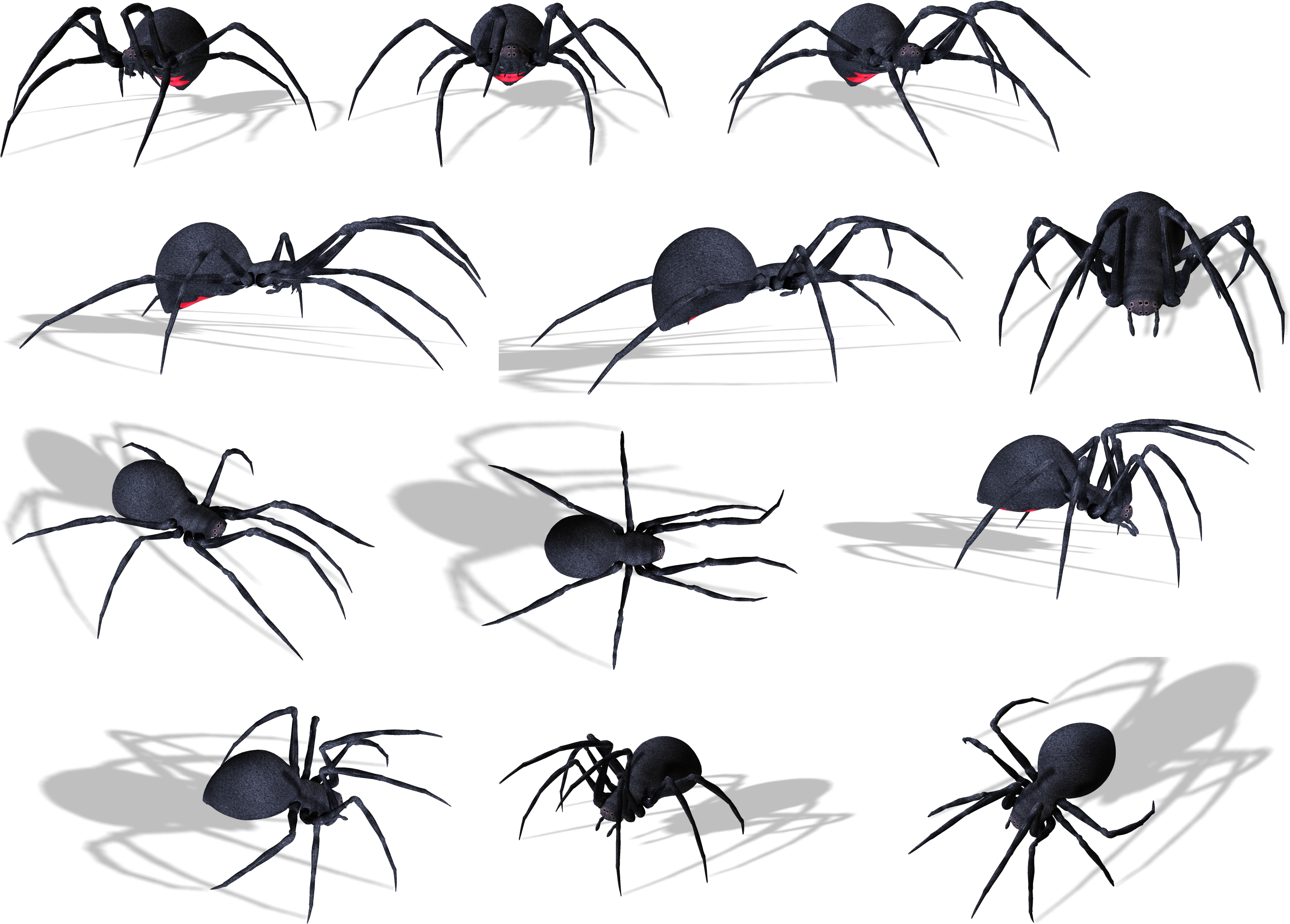 Spider Png Image - Spider (3046x2266)