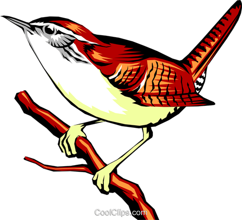 Carolina Wren Royalty Free Vector Clip Art Illustration - Wren Clipart Png (480x437)