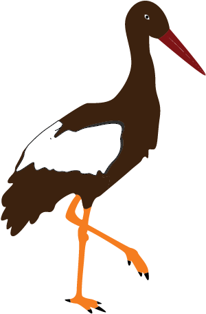 Marabou Stork Clipart - Koka Clipart (508x508)