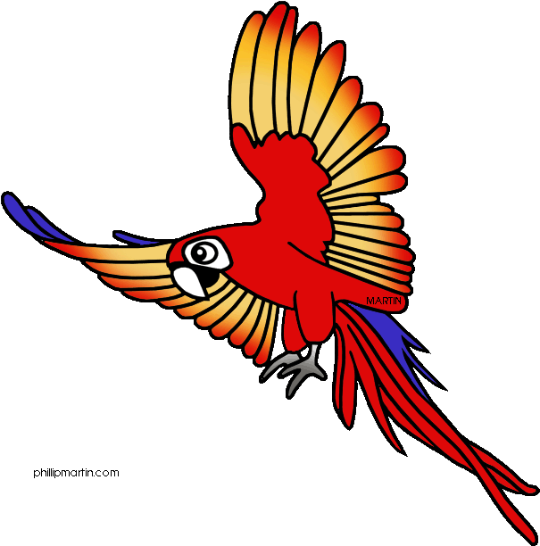 Image Of Amazon Clipart - Rainforest Clipart (640x648)