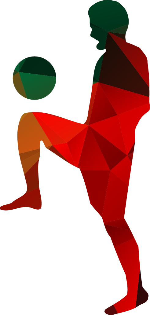 Football Player Silhouette Clip Art - Soccer Silhouette (491x1031)