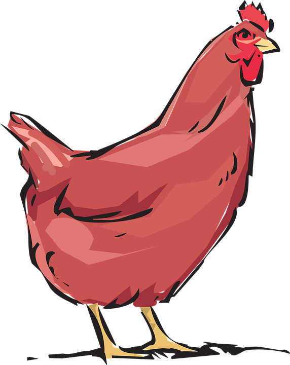 Chicken Cliparts Black 23, Buy Clip Art - Little Red Hen (572x720)