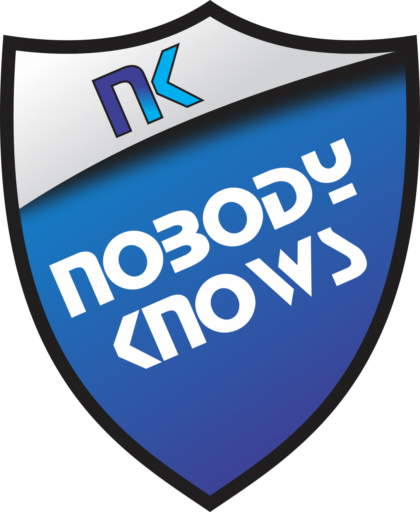 It Was A Logo For My Team Who Plays Electronic Games, - Team Shield Logo Png (1642x2000)