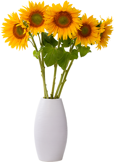 The Voiceover Industry - Sunflower In Vase Png (400x567)