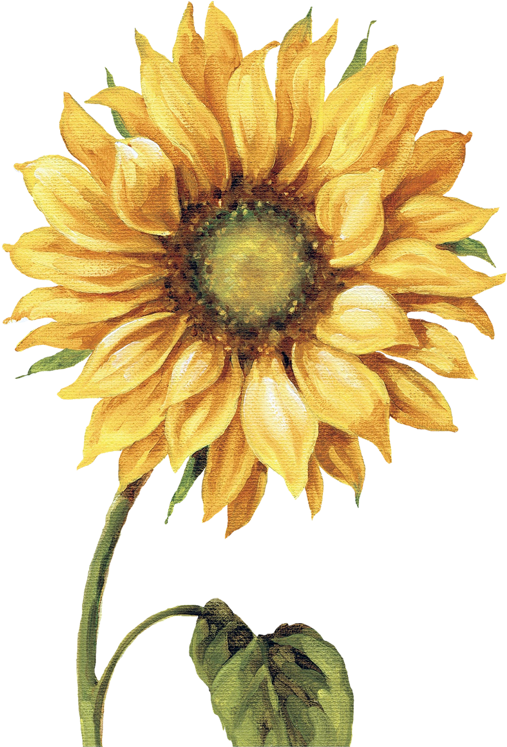 Çiçekler Png Clipart Lisa Audit - Lisa Audit - Under The Sun I Canvas (1230x1600)