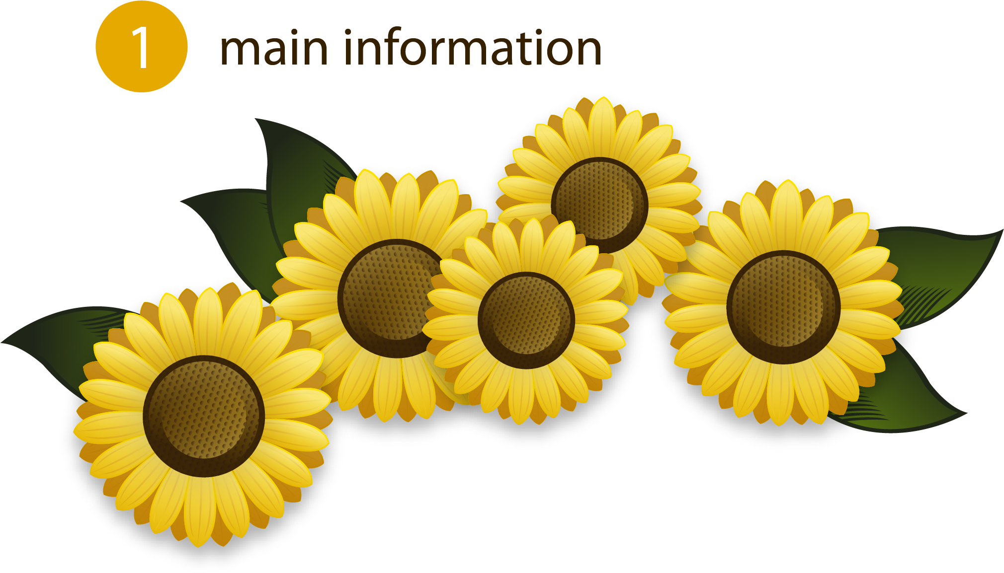 Euclidean Vector Flower - Common Sunflower (2083x2083)