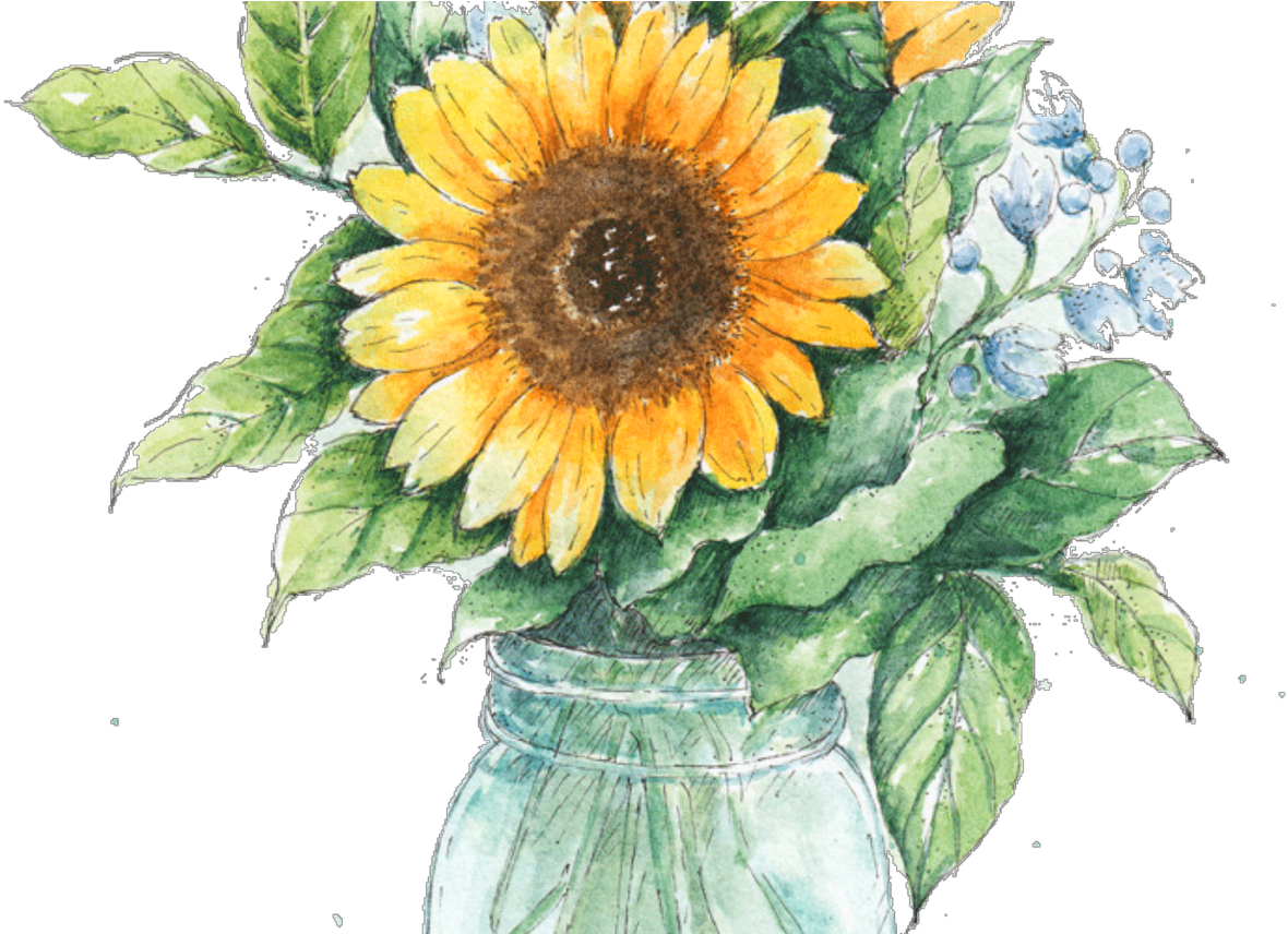 Ftestickers Watercolor Sunflower Masonjar - Sunflower Vase Png.