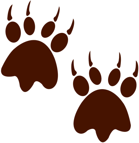 Cheetah Bear Cat Footprint Animal Track - Bison Footprint Silhouette (512x512)