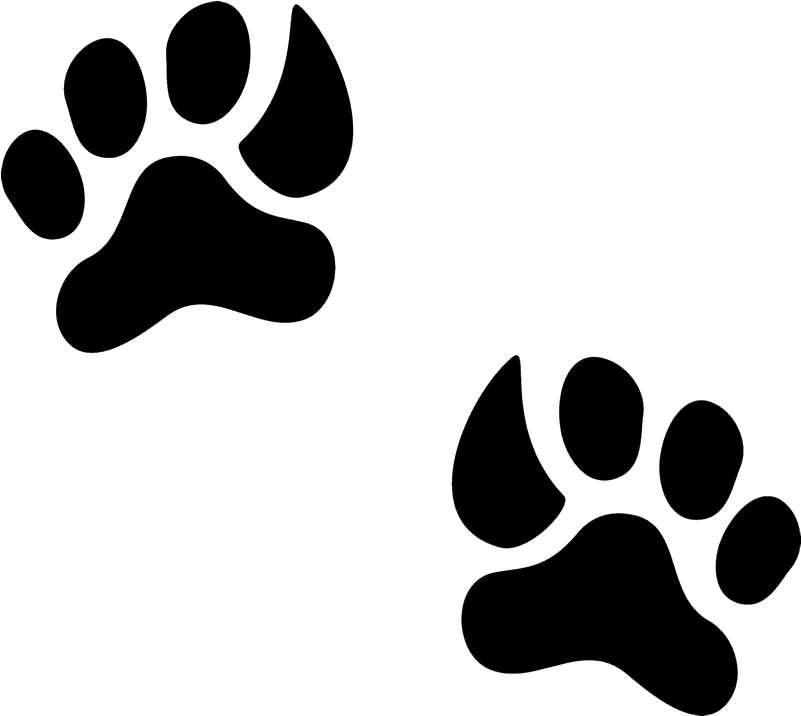 Giraffe Tracks Rubber Stamp - Postage Stamp (800x800)