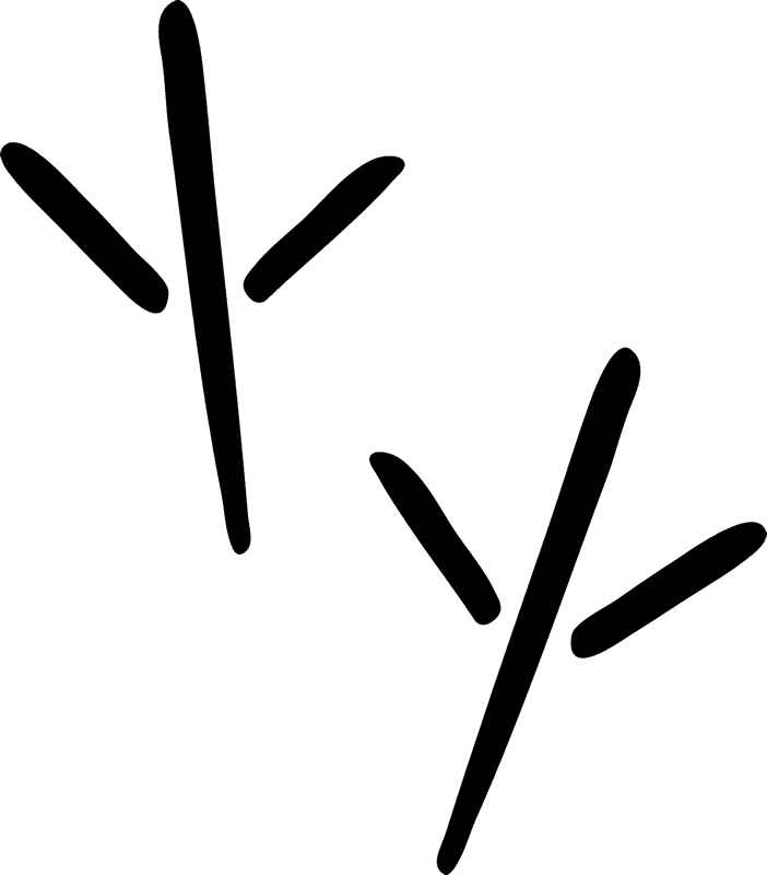 Grey Heron Tracks Rubber Stamp - Heron Footprint (702x800)