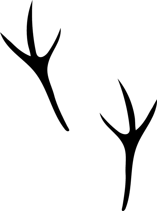 Sparrow Tracks Rubber Stamp - Rubber Stamp (595x800)