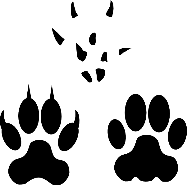Cat/dog/mouse Foot Steps/tracks Svg By Qubodup - Cat Paw Icon Png (602x597)