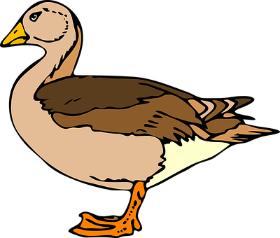 Duck, Standing, Brown, Beige, Bird - Duck Clip Art (400x340)
