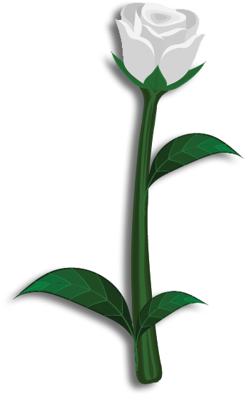 Theta Phi Alpha Flower - Lily Of The Valley (600x600)