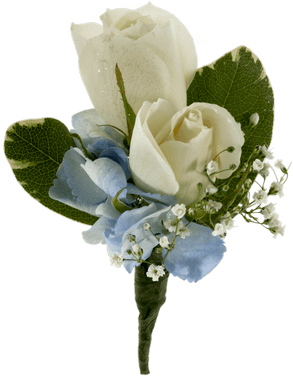 White Rose And Hydrangea Boutonniere • - Garden Roses (500x611)