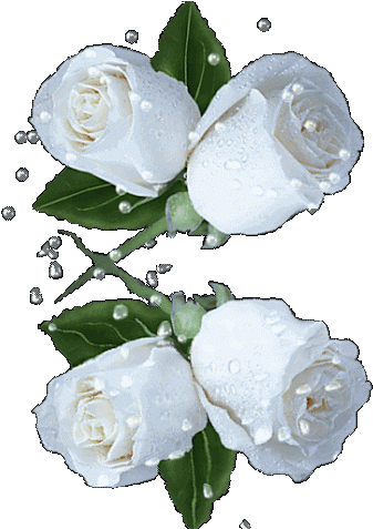 Блог Пользователя - White Flower Animated Gif (346x476)