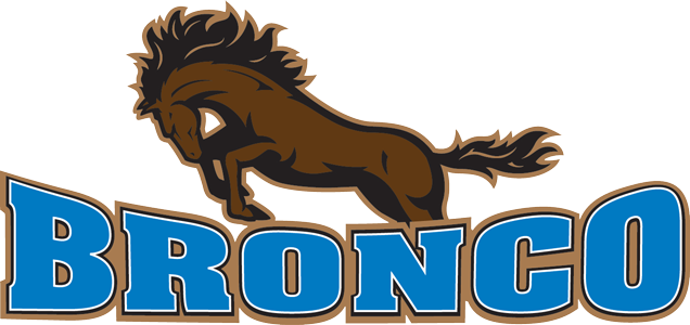 Bronco Plumbing And Heating - Bronco Plumbing Ltd (636x300)