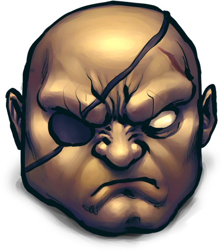 Street Fighter 4 Fan Art - Icon (512x512)