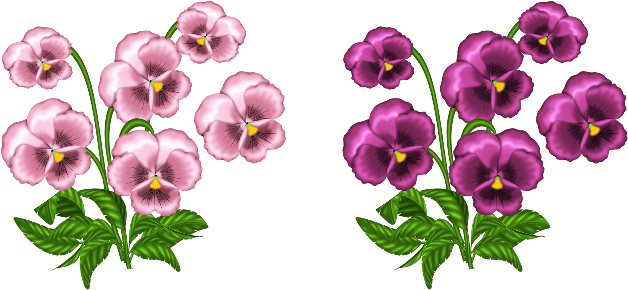 Pansy Clipart Swag - Tener Miedo Al Amor (1339x668)