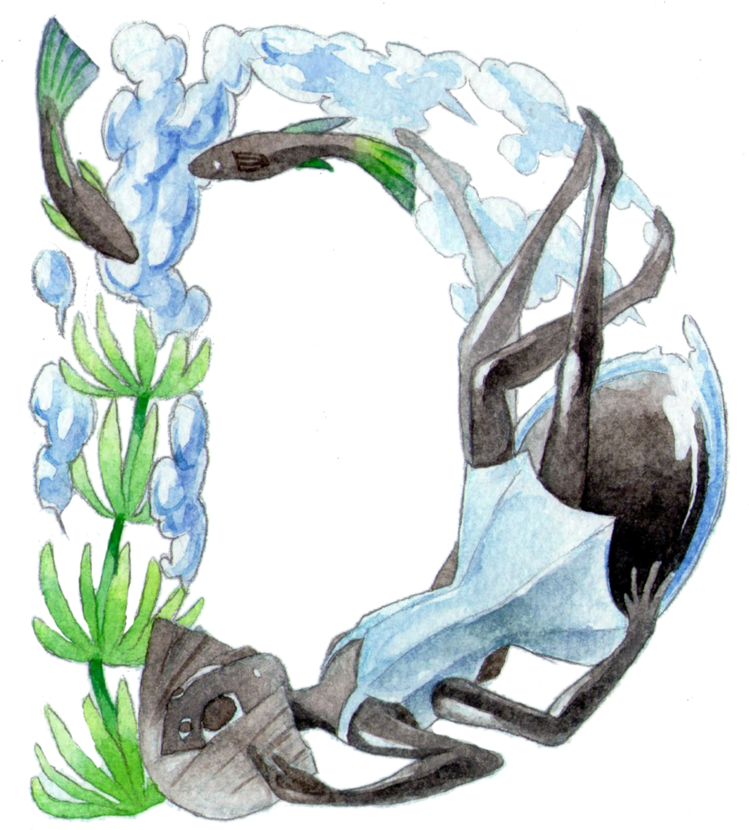 D For Diving Bell Spider By Mitsuyuki32 - Diving Bell Spider (853x936)