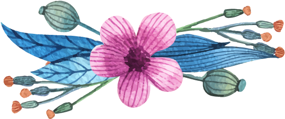 Corona De Flores De La Acuarela De Dibujo Vectorial - Wedding Invitation Card Money Gift (800x800)