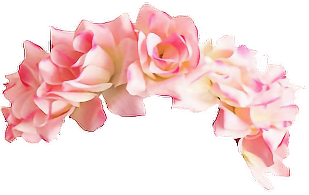 Corona De Flores Clip Art - Pink Flower Crown Png (1024x1024)