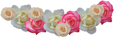 No Pondré Video En Las Entradas De Pngs Porque Se Ven - White Rose (500x500)