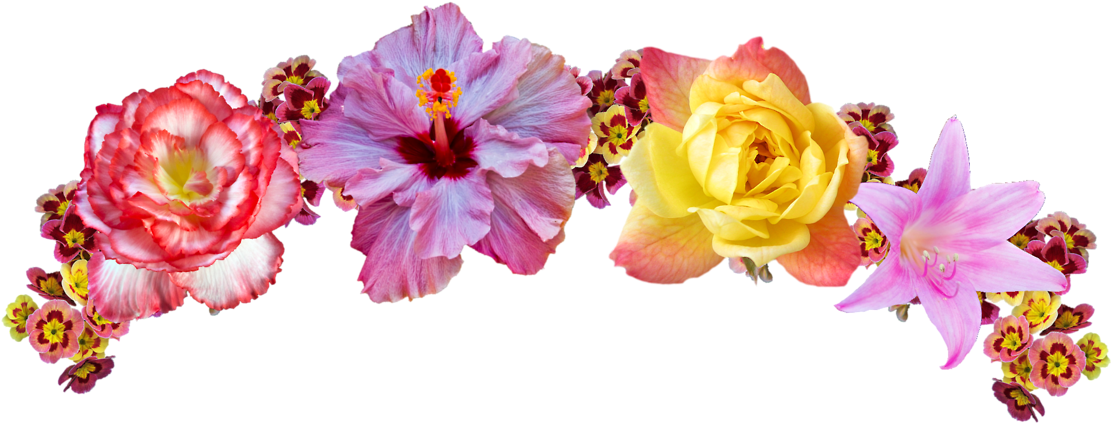 Imágenes De Coronas De Flores - Flower Crown Transparent (1280x535)